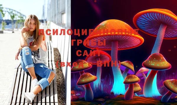 кокаин Белокуриха