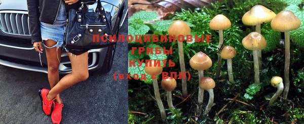 кокаин Белокуриха