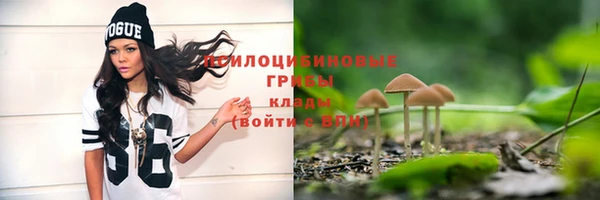 гидра Балахна
