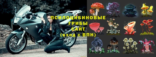 гидра Балахна