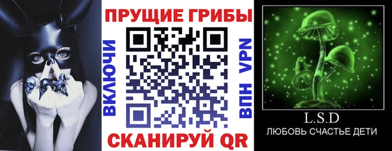 Псилоцибиновые грибы GOLDEN TEACHER продажа наркотиков Володарск