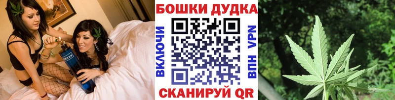 Конопля сатива  Володарск 